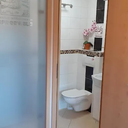 Guest house 